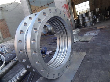 750646.jpg 10137296.jpg