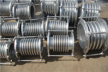 842131.jpg 4073de799ec88d685baf5321.jpg